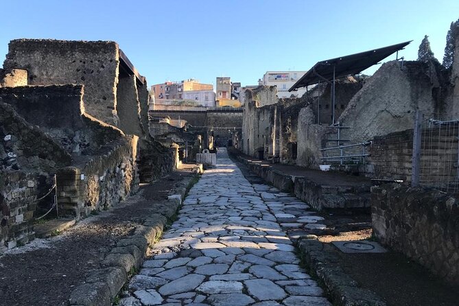 Herculaneum - Small Group Tour - The grand houses of Herculaneum