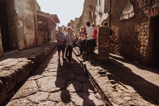 Herculaneum Small Group Tour and Ticket With an Archaeologist - Meeting at the ruins in Ercolano