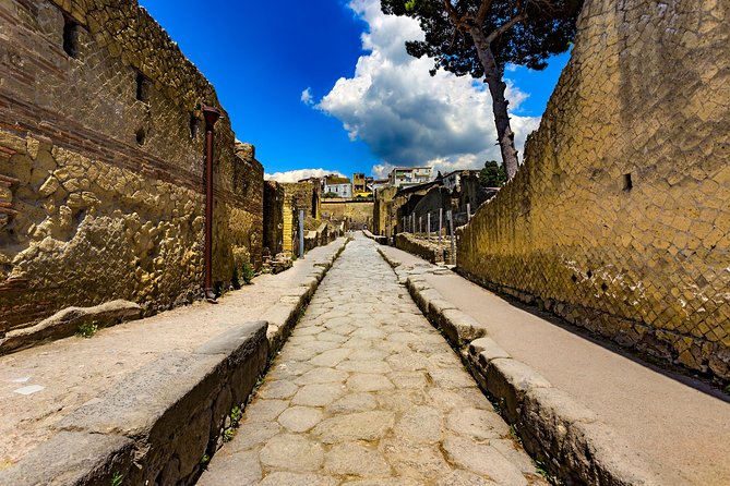 Herculaneum small group tour with an archaeologist - skip the line - The College of the Augustales and the House of Telephus Relief