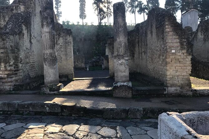 Herculaneum - Small Group Tour - Entering the archaeological park with a guide