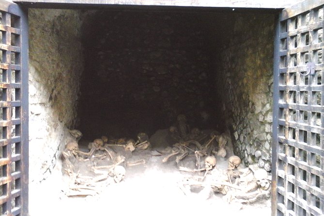 Herculanium guided tour - The beachfront skeletons and the story of Vesuvius