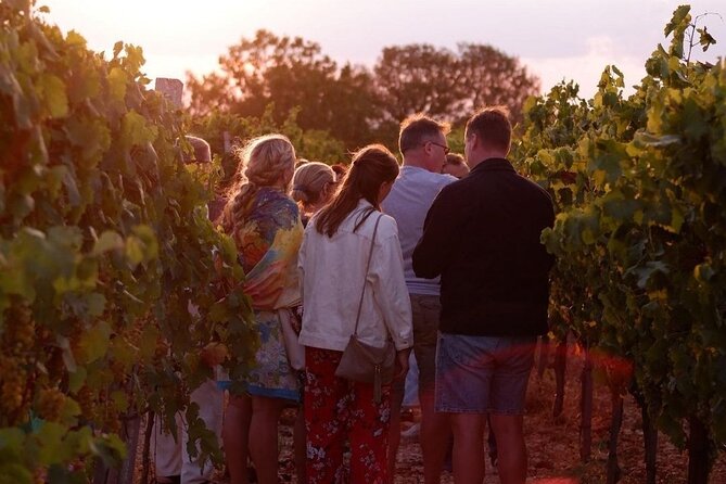 History & Local Wines: Amphitheater, Mitrium and Winery Visit - Is $868.20 per person a fair value?