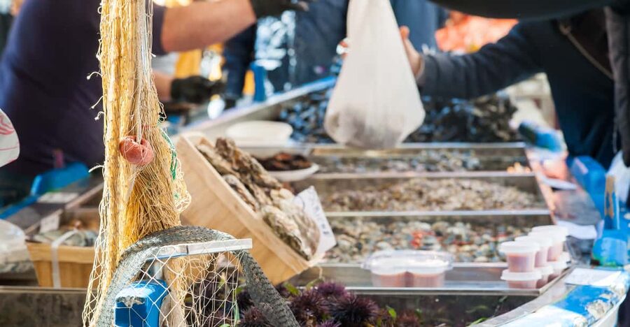 Ischia: Market, Cooking Demo & Meal at a Local's Home - The four-course menu, from starter to dessert