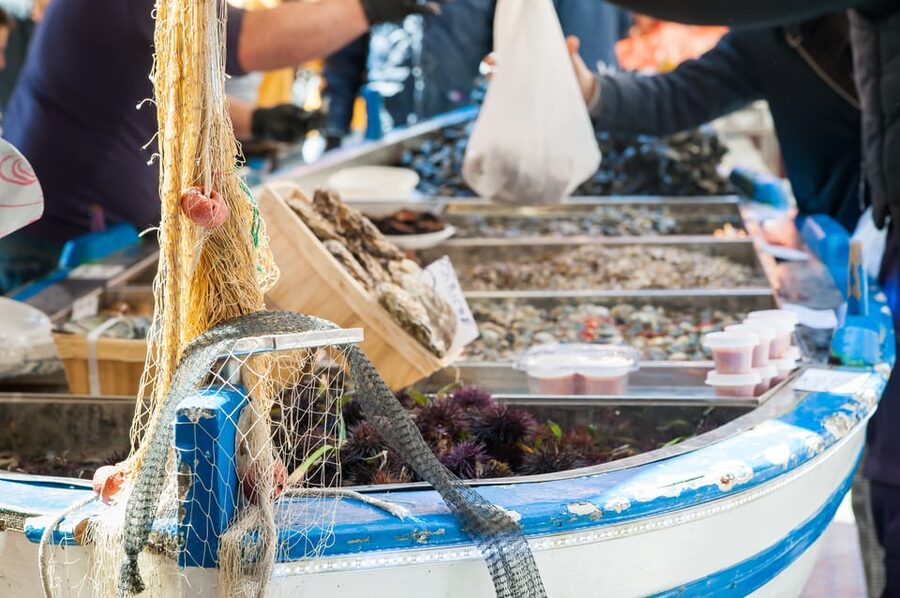 Ischia: Market, Cooking Demo & Meal at a Local's Home - Follow the ingredients into a private Ischia home