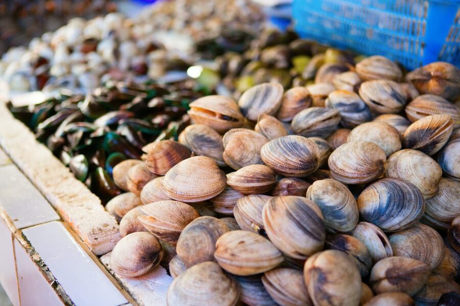 Ischia: Market Tour & Cooking Class at a Local's Home - Learn by doing, not just by tasting