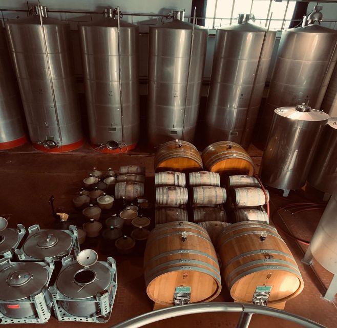 Ischia: Vineyard Tour & Wine Tasting Experience w/ Transfers - Key points at a glance