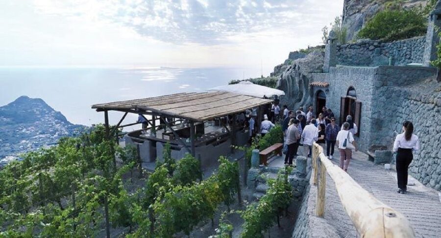 Ischia: Vineyard Tour & Wine Tasting Experience w/ Transfers - Why Ischia wine is worth your afternoon