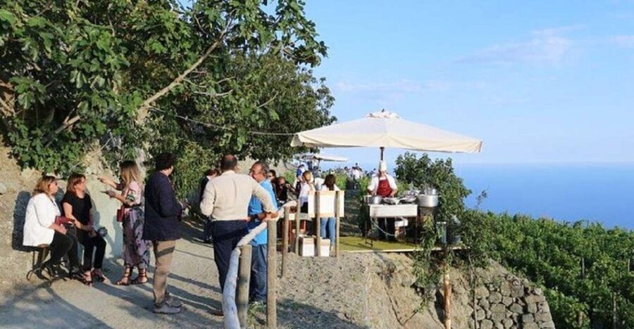 Ischia: Vineyard Tour & Wine Tasting Experience w/ Transfers - Walking through the vineyard and cellar