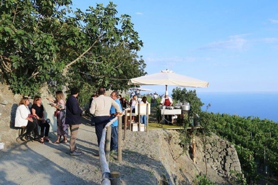 Ischia: Vineyard Tour & Wine Tasting Experience w/ Transfers - Four wines, from fresh whites to fuller reds