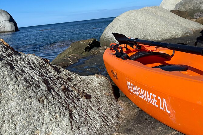 Kayak Tour with Local Guide - Who should book this Ischia experience?