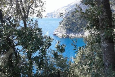 Minivan Tour | Amalfi Ravello and Pompeii with driver