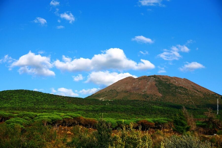 Mount Vesuvius 4-Hour Volcano Tour with Wine Tasting - Is $81.57 a fair price?