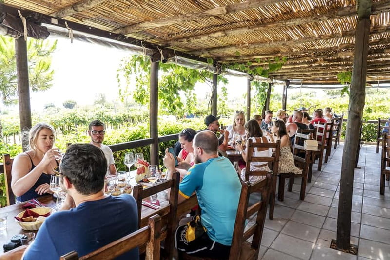 Mount Vesuvius: 5 Wine Tastings with Tour & Lunch Included - Should you book it?