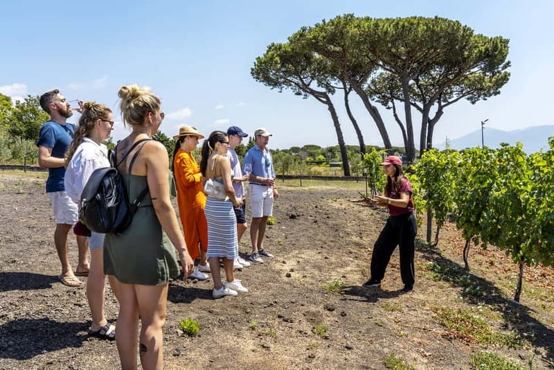Mount Vesuvius: 5 Wine Tastings with Tour & Lunch Included - Walking through the Vesuvian vines