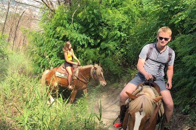 Mount Vesuvius Guided Horse Riding Tour with Sample Wine - Wine, bread, and a family vineyard