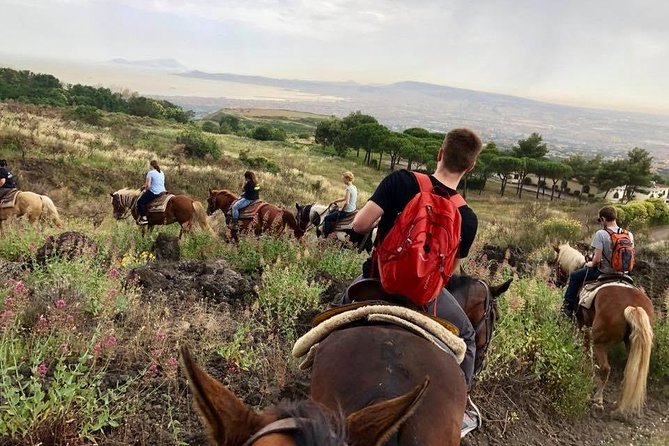 Mount Vesuvius Guided Horse Riding Tour with Sample Wine - Horse care and the important reservation concern