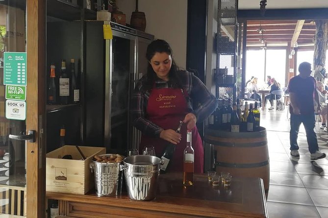 Mount Vesuvius Shore Tour, Pompeii & Winery Vesuvius Winery - What the $276.67 price really covers