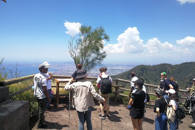 Mount Vesuvius Shore Tour, Pompeii & Winery Vesuvius Winery - Booking and cancellation details worth noting