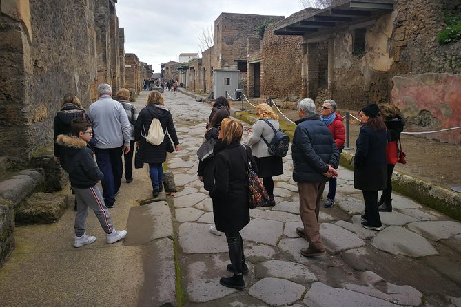 Mount Vesuvius Shore Tour, Pompeii & Winery Vesuvius Winery - Pompeii in two hours