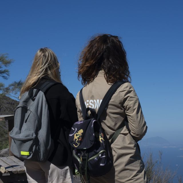 Mount Vesuvius: Skip-the-Line Ticket and Smart Digital Guide - What this Mount Vesuvius visit really includes