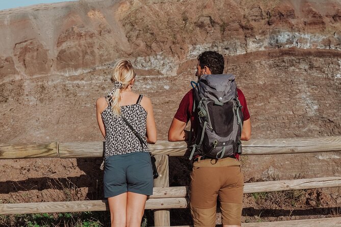 Mount Vesuvius Skip the Line Ticket + Multilingual Audio Guide - Walking Into Vesuvius National Park