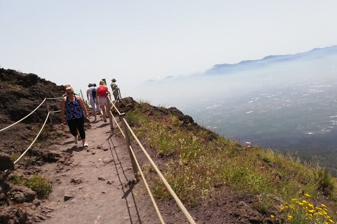 Mount Vesuvius tour by bus and ticket included from Ercolano - What the ticket inclusion is worth