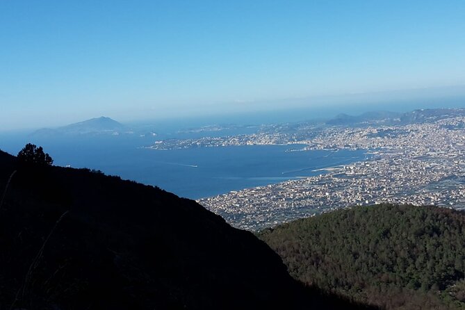 Mount Vesuvius tour by bus and ticket included from Ercolano - Weather, delays, and useful backup plans