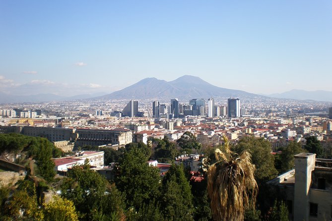 Mt Vesuvius Half-Day Trip from Naples - Pickup from Naples and the first part of the afternoon