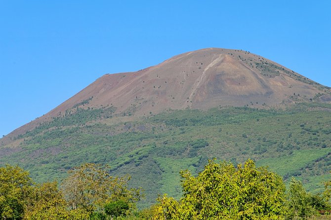 Mt Vesuvius Half-Day Trip from Naples - How much guiding should you expect?