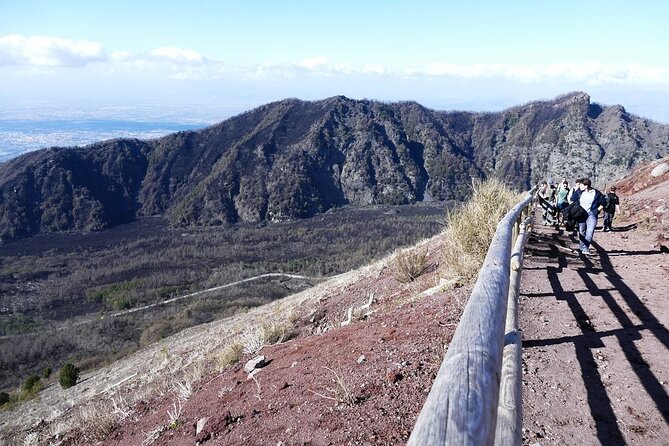 Mt Vesuvius Half-Day Trip from Naples - Who will like this Vesuvius trip?