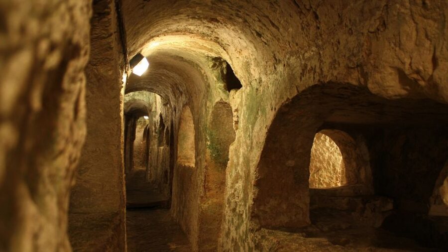 Naples: 7 Days Pass - Pompeii, Museums & Transport Included - MANN connects the ancient sites