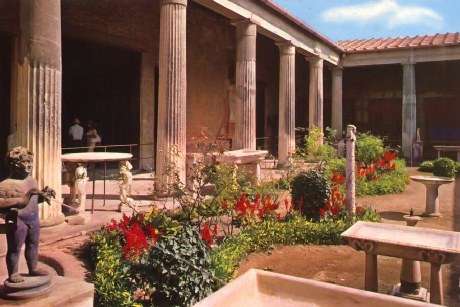 Naples and Pompeii: Half-Day Tour - Why the Pompeii guide matters