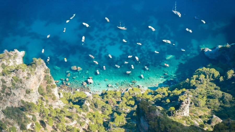 Naples: Capri Transfer with Island Boat Tour and Free Time - Five free hours in Capri