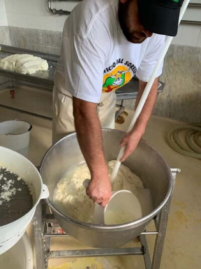 Mozzarella experience