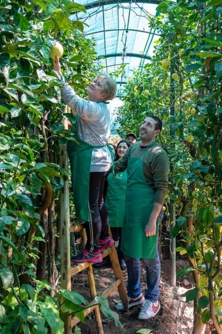 Naples: Mozzarella experience - Should you book the mozzarella experience?