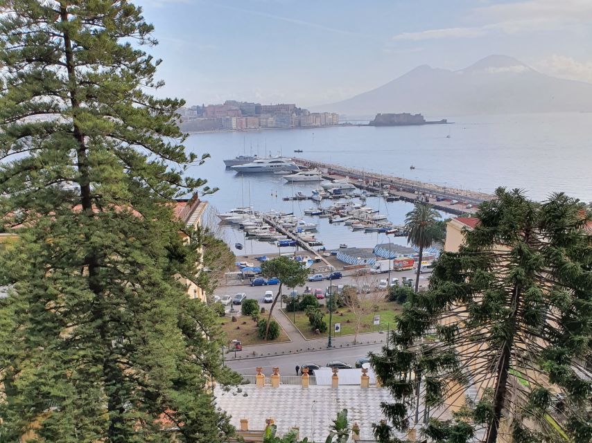 Naples: Naples, Pompeii, and Vesuvius Full-Day Tour - A straightforward pizza lunch