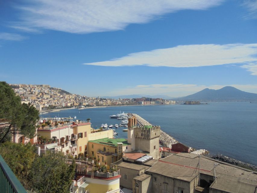 Naples: Naples, Pompeii, and Vesuvius Full-Day Tour - Starting in Naples by minibus