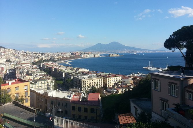 Naples, Pompeii and Sorrento full day tour from Naples - Pompeii gives the day its purpose