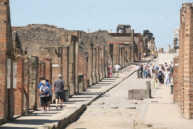 Naples, Pompeii and Sorrento full day tour from Naples - Cruise passengers need a careful time check