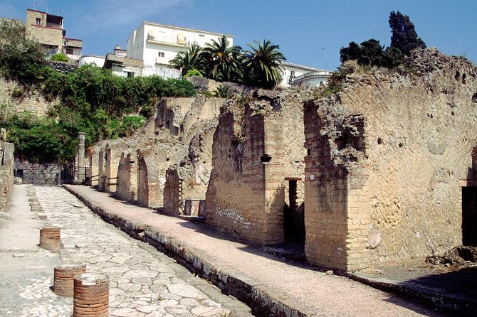 Naples: Pompeii, Herculaneum, and Vesuvius Tour by Minivan - Herculaneum’s Smaller, More Preserved Ruins
