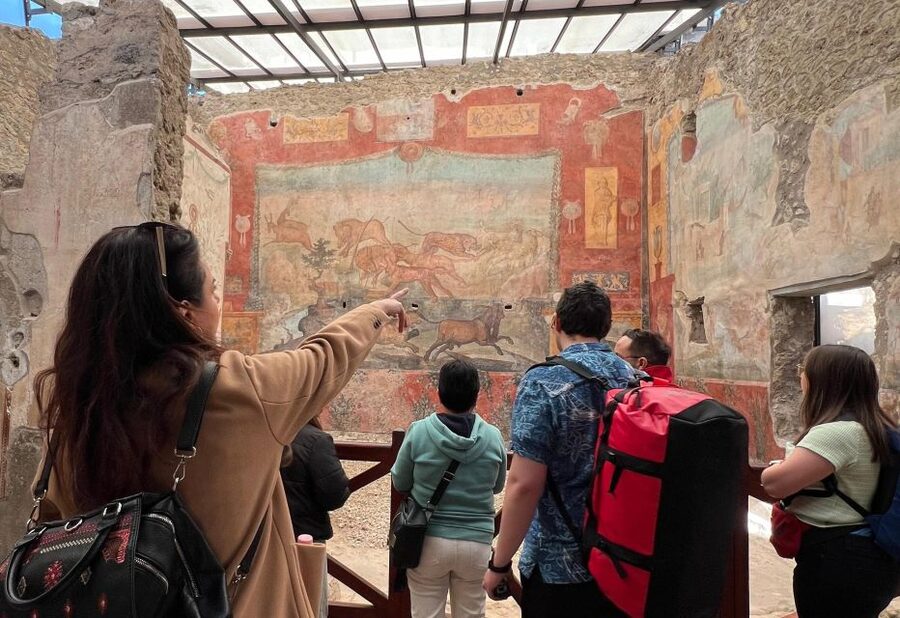 Naples: Pompeii & Mt. Vesuvius Day Trip with Tickets & Lunch - Key points to know before booking