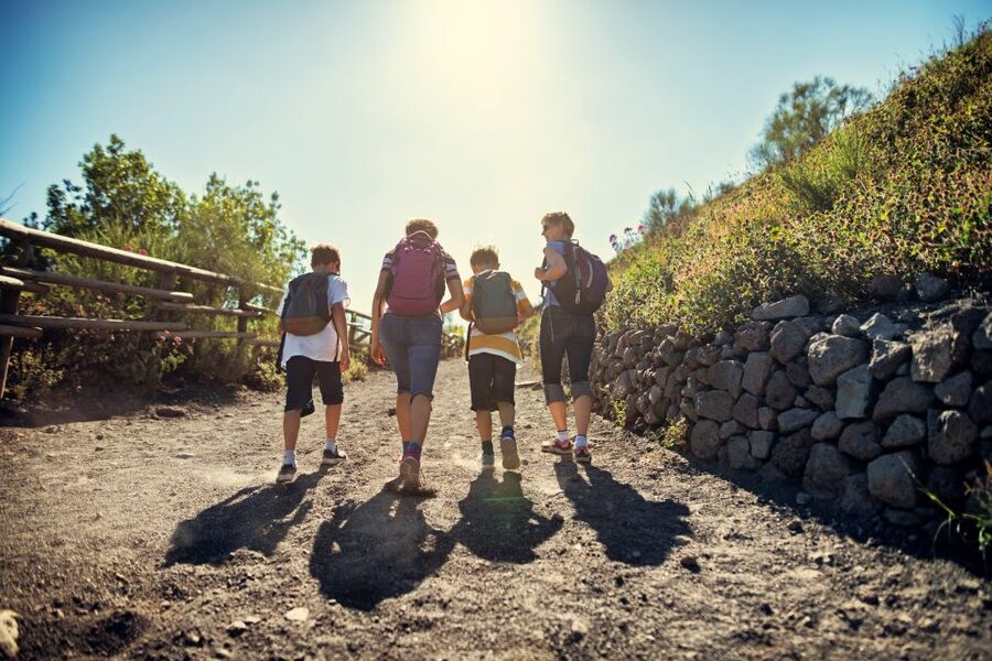 Naples: Pompeii & Mt. Vesuvius Day Trip with Tickets & Lunch - Guides, languages, and what the day feels like