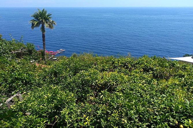 Naples port tour Sorrento and pompeii and overview of positano - Why a private car matters here