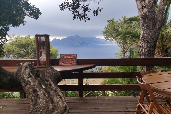Naples port tour Sorrento and pompeii and overview of positano - Is $708.90 good value for three people?