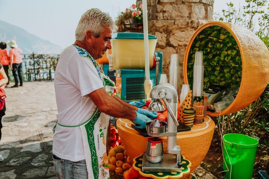Naples: Private Amalfi Coast Day Tour - Driver or private guide?
