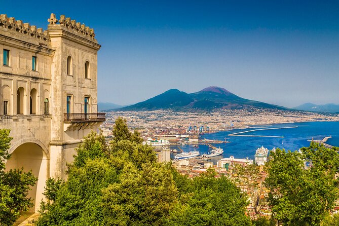 Naples/Salerno Port: Pompeii & Vesuvius - lunch or wine tasting - Group Size, Pace, and Physical Effort