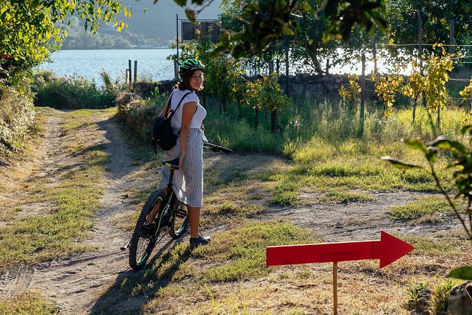 Naples Scenic E-Bike Ride to a Local Vineyard with Meal - The Flavian Amphitheater and volcanic ground