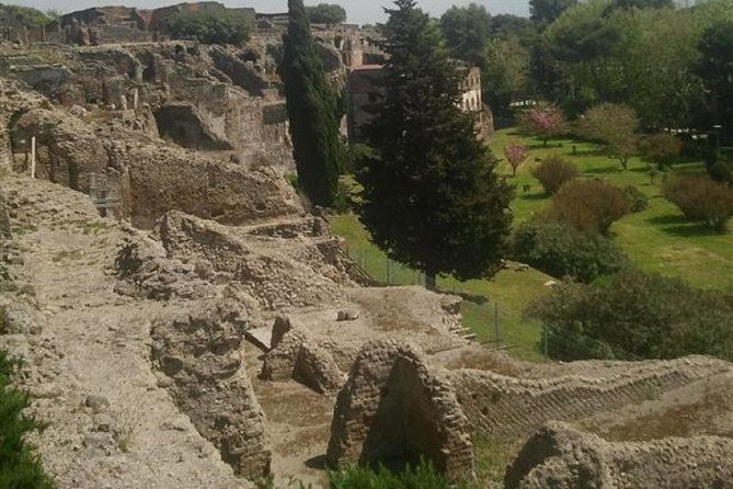 Naples Shore Excursion: Pompeii Half Day Trip from Naples - The Forum: Pompeii’s civic heart