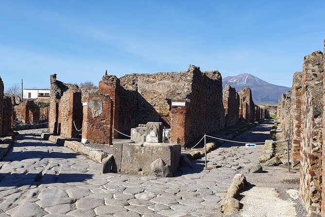 Naples: Tour of Mt Vesuvius and Pompeii w/ Lunch & Wine tasting - Pompeii in two hours: what you can really see