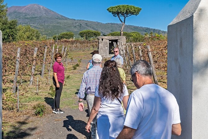 Naples: Tour of Mt Vesuvius and Pompeii w/ Lunch & Wine tasting - Who should book this Naples day trip